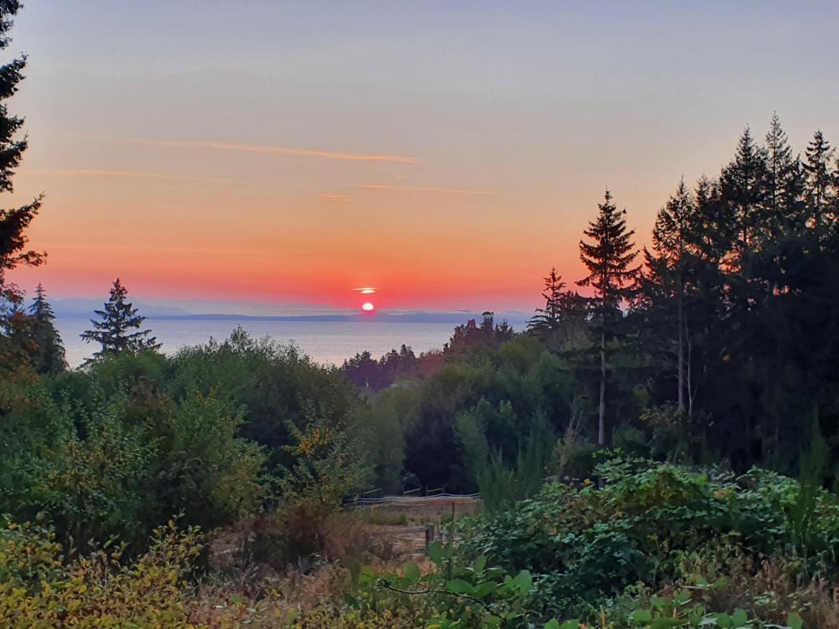 Forest By The Sea Rentals Merville Dış mekan fotoğraf